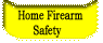 Home Firearm Safety